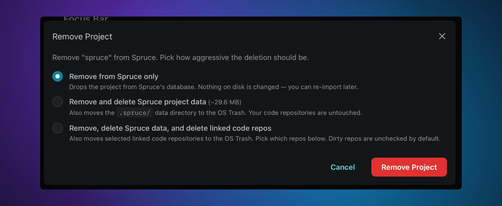 Remove project modal showing the three removal levels with what each one deletes